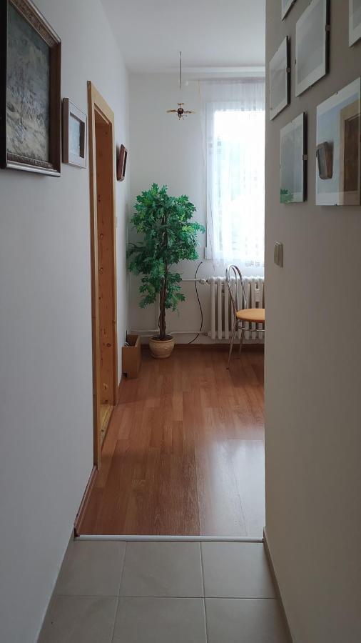 Apartman V Srní Extérieur photo
